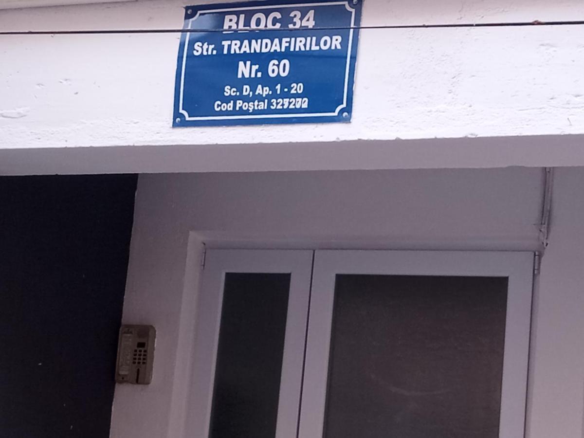 באיילה הרקולנדה Apartament Nectaria מראה חיצוני תמונה